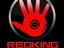 RedKing Music Inc