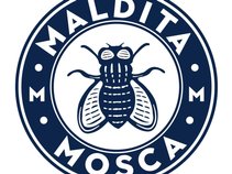 Maldita Mosca - MM