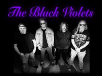 The Black Violets