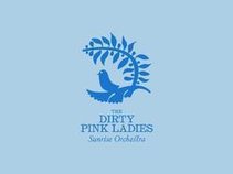 THE DIRTY PINK LADIES