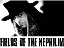 Fields of Nephilim