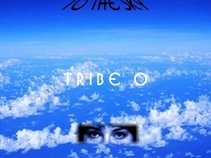 Tribe O