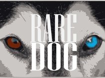 Rare Dog