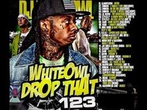 DJ White Owl - Drop That 123