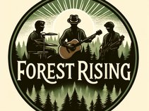Forest Rising