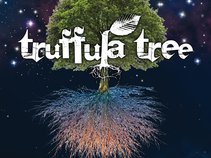 Truffula Tree