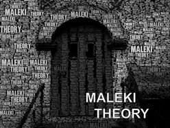 Image for MALEKI THEORY
