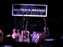 northern monkey