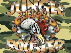 Image for Jungle Rooster