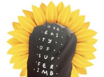 Sunflower 🌻 Forum