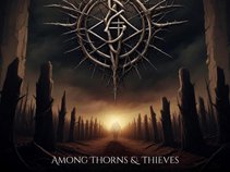 Among Thorns & Thieves
