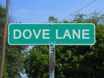 Dove Lane