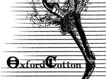 Oxford Cotton