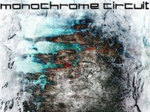 MONOCHROME CIRCUIT