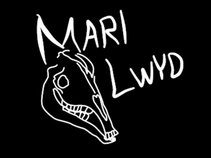 Mari Lwyd