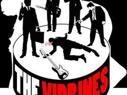 Image for The Vidrines