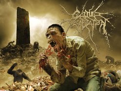 Image for Cattle Decapitation