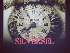 Image for Silversel
