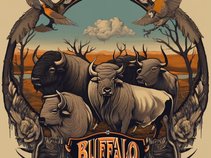 Buffalo Company