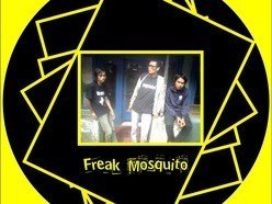 Image for freak mosquito