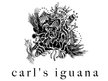 Carl's Iguana