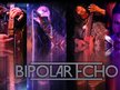 Bipolar Echo