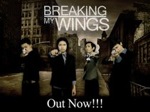 Breaking My Wings (BMW)