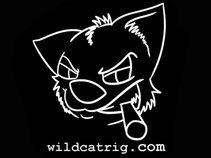 Wildcat Rig