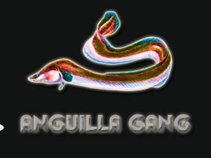 anguilla gang
