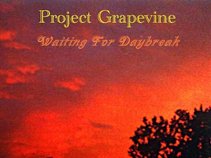 Project Grapevine