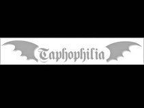 Taphophilia