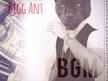 Bigg Ant