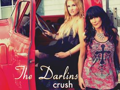 Image for The Darlins
