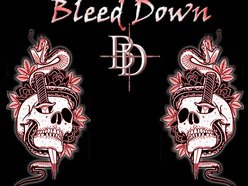 Image for BLEED DOWN