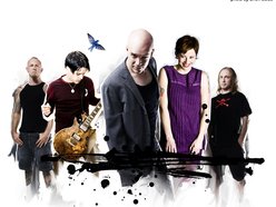 Image for The Devin Townsend Project