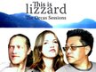 This is lizzard