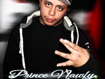 Prince Nawfy