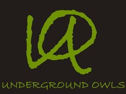 Image for Underground Owls