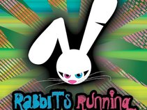 Rabbits Running