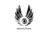 Process of Fusion