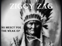 Ziggy Zag