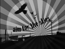 Aim for the Skies