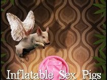Inflatable Sex Pigs