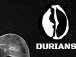 Image for Durians