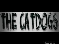 Image for The CatDogs