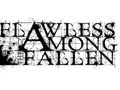 Image for Flawless Among The Fallen