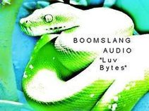 Boomslang Audio