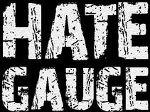 Hate Gauge