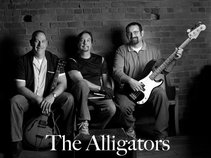 The Alligators