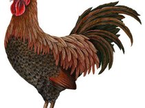 10 Pounds of Cock